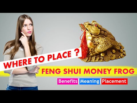 Feng Shui Frog With Coin In Mouth Placement | Feng Shui Frog Meaning And Benefits