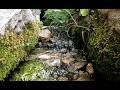 WarmRelic🌊Liquid Melody &amp; Water Flow🌊Therapy Session