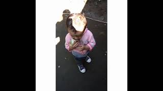 #Shorts#NaughtyPrince#Viral👶Naughty Prince/Hilarious Kid's Act/Funny Shorts video/Mischievous baby