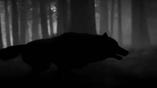 Mona Lima Sober Ai Music And Video