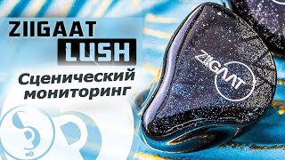 видео: ZIIGAAT LUSH обзор наушников – Познай середину! картинка: ZIIGAAT LUSH обзор наушников – Познай середину!