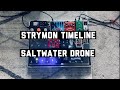 Strymon Timeline “Saltwater” Drone