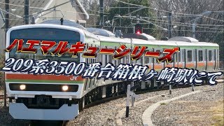 【八高線209系コンプリートシリーズ】JR東日本八高線209系3500番台 箱根ヶ崎駅入線から発車まで