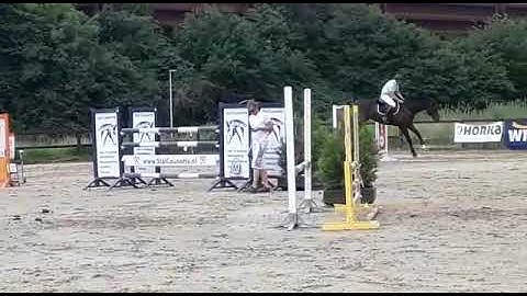 Its Uno , Numero Uno x Hemmingway