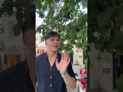 مش بس القالب غالب Aliardaak