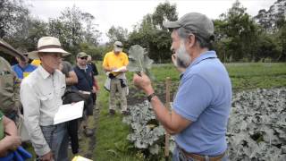 Hortalizas orgánicas en Ecuador con Pacho Gangotena