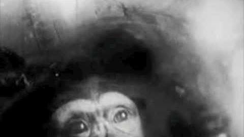 boards of canada : pete standing alone