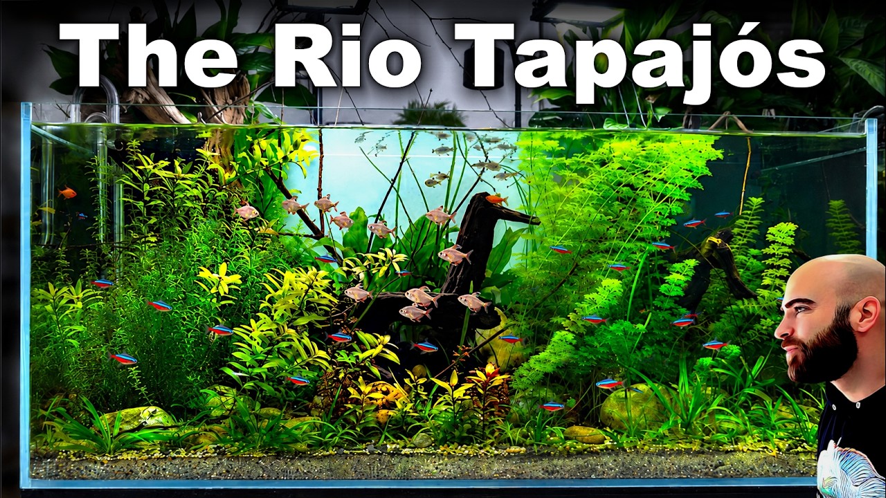 Building a Realistic Rio Tapajos River Aquarium (FULL AQUASCAPE TUTORIAL)
