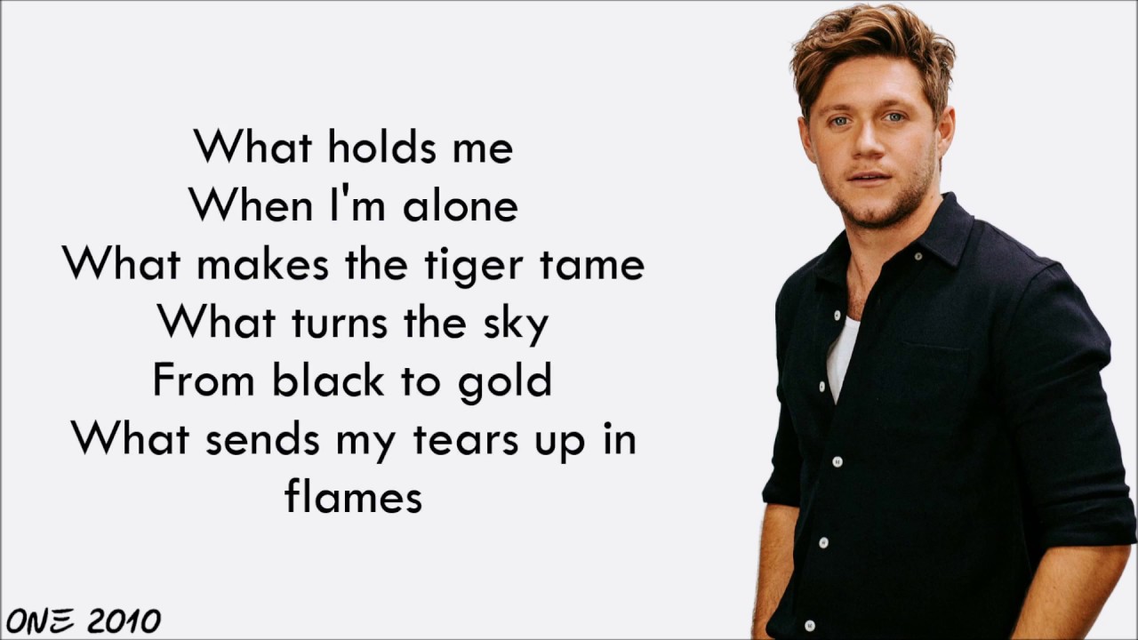 Niall Horan   Nothing lyrics