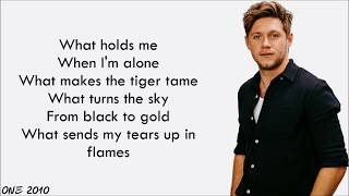 Niall Horan - Nothing (lyrics)