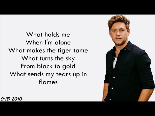 Niall Horan - Nothing (lyrics) class=