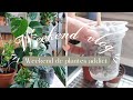 Un weekend de plantes addict  plant tour chez maman 