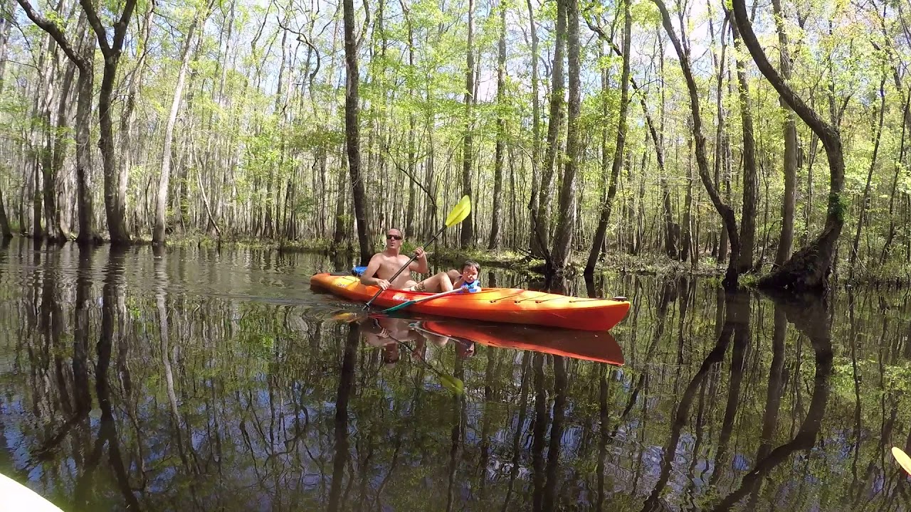 KAYAKING IN THE SWAMP ON OAK ISLAND NC YouTube