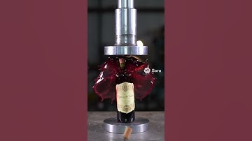 Wine Wednesday Disaster: Hydraulic Press Crushes Full Bottle of Red Wine (Explosive Splash ASMR) 🍷🤯