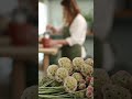 Pincushion Scabiosa SEEDS -Rose, PERENNIAL Flowers