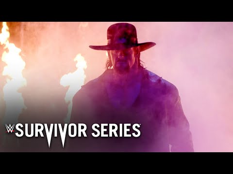 WWE pays tribute to The Undertaker with Final Farewell