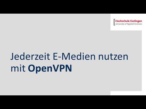 OpenVPN anwenden