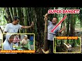 PANEN IWUNG TERBESAR TERPANJANG SUPER JUMBO! + NANGKA MANIS LANGSUNG DI SIKAT BARENG TETANGGA!