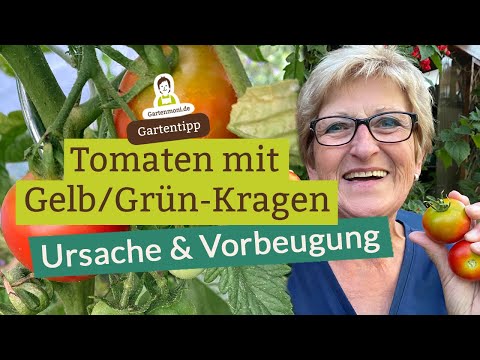 Video: Staunässe im Boden: Ursachen, mögliche Probleme und vorbeugende Maßnahmen