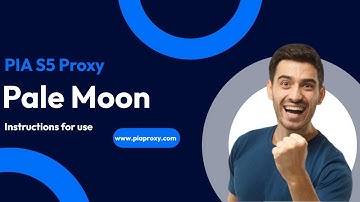 How to choose a residential proxy? PIA S5 Proxy works with Pale Moon to hide real IP address