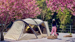 흐드러진 겹벚꽃 아래 엄마랑 행복캠핑🌸 | 양장피, 전복솥밥, 우대갈비와 돈마호크 | 로제 한 잔에 계곡물소리 들으며 힐링 screenshot 2