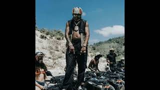 [FREE] Loe Shimmy x Luh Tyler Type Beat - ''Back Flippin''