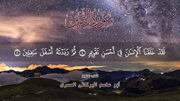 سورة التين ٩٥ جزء عم