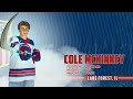 Cole McKinney Highlight Package