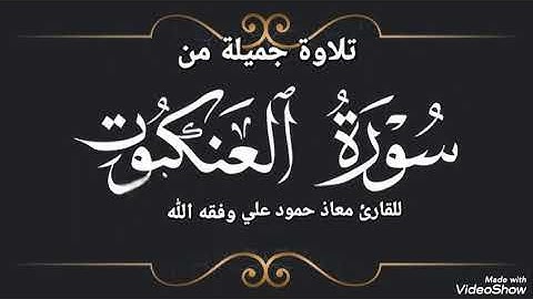 تلاوة جميلة من سورة العنكبوت للقارئ معاذ حمود علي وفقه الله