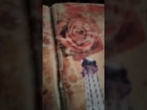 والله غفور حليم