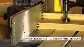 Counter profile cutter FW53 for cutting profiles and counter mouldings on furniture doors