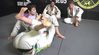 This Week in BJJ 48 - The Miyao Brothers Preview