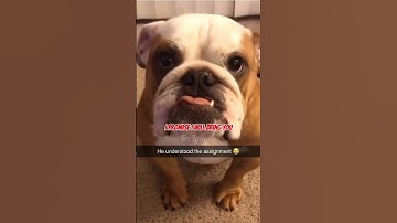 He understood the assignment