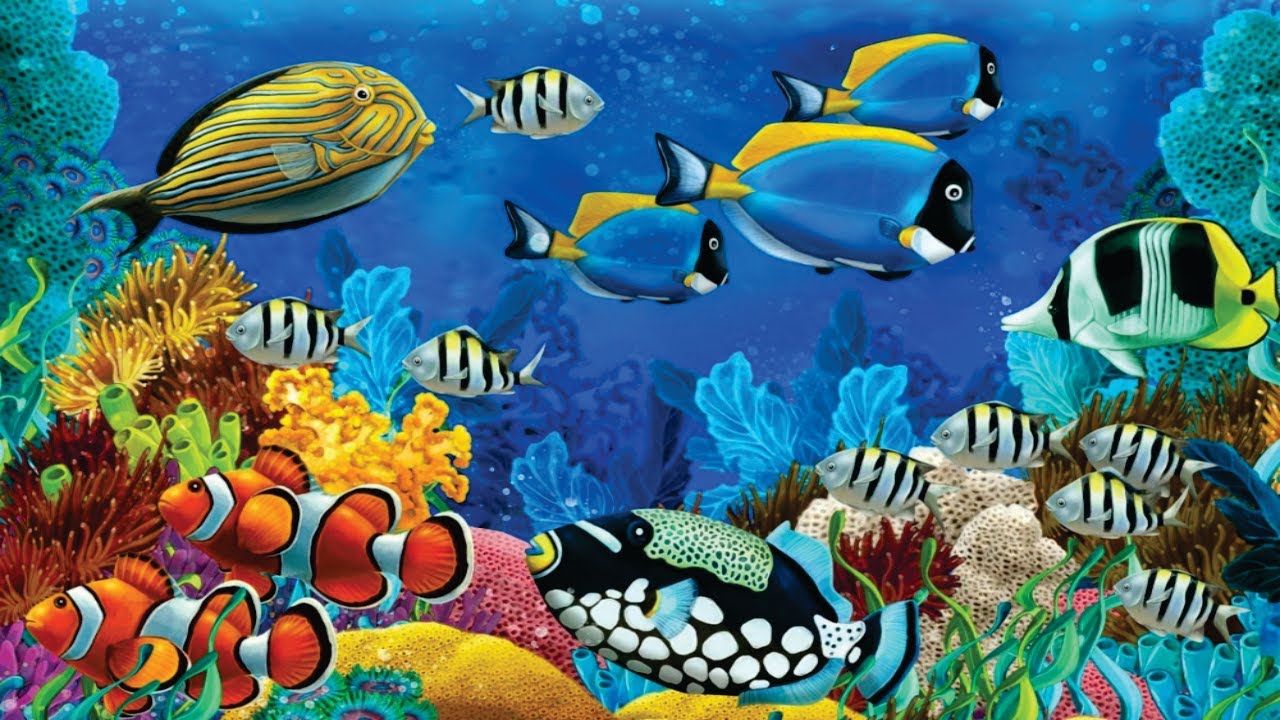 Peixes Exóticos e Coloridos do fundo do Oceano - Viagem com peixes ...
