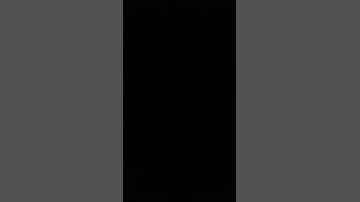 Thumbnail of kirpi bulent