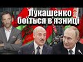 Лукашенко вимагає гарантій | Віталій Портников