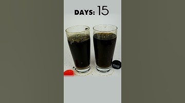 You Can"t Imagine 🔥💖Coke Time-Lapse | MACRO TIME LAPSE #timelapse #shorts  #shortvideo