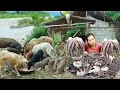 Survival in the rainforestfound octopus with mushroom for cook  give to pets