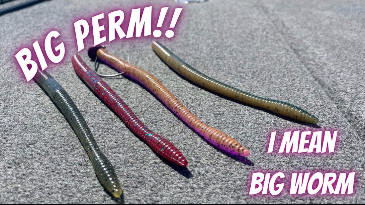 Big Plastic Worm How To, 80% Of Anglers Don't Know This Exist