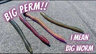 How To Fish BIG Soft Plastic WORMS! (Summer Bass Fishing Tips) 