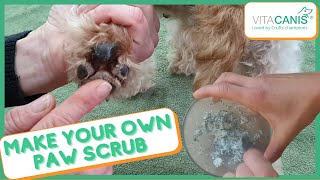 HOW TO CARE FOR YOUR DOGS PAWS - HOME RECIPE PAW SCRUB & 3 TIPS - PAW CARE by Jitka Krizo Averis 2,567 views 3 years ago 9 minutes, 17 seconds