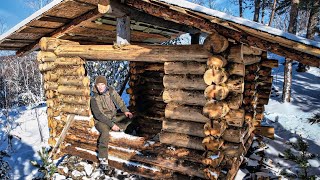 BUILT A HUT ON THE MOUNTAIN WITH WOLVES: WHAT HAPPENED NEXT - SECRETS AND UNEXPECTED FINDS