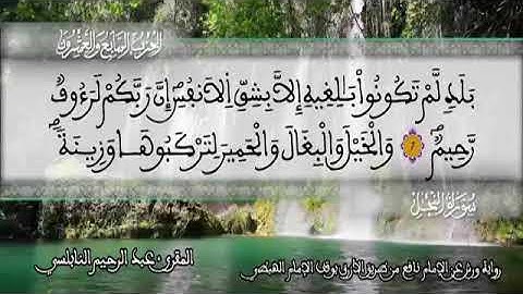 الثمن 5 من الحزب 27 رواية ورش عن نافع من المصحف المثمن بصوت القارئ عبد الرحيم النابلسي