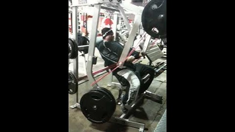 Elitefts.com: Dave Tate