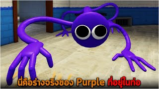 นี่คือร่างจริงของ Purple ที่อยู่ในท่อ และตัวละครลับใหม่ Yellow Roblox Rainbow Friends Roleplay