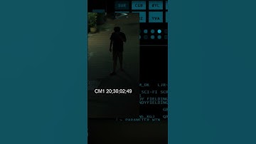 [SCP-VN] #3-2 Bác sỹ dịch hạch scp 049