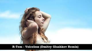 R Tem  - Voiceless - Dmitry Glushkov Remix