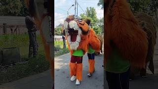 BARONGAN DI MOJODEMAK 16/10/2025 #wonosalam #demak #barongan #kesenian #keseniantradisional