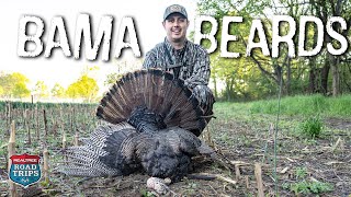 Hunting TOUGH Alabama Turkeys!!! | He FINALLY Broke by Realtree Road Trips 6,756 views 1 month ago 25 minutes