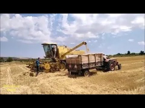 KÖYDE HASAT ZAMANI DÖĞER BİÇER GELDİ